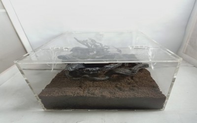Kandang Tarantula Dekorasi Terrestrial 40 x 20 x 20
