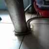 Anti Semut (penting!)